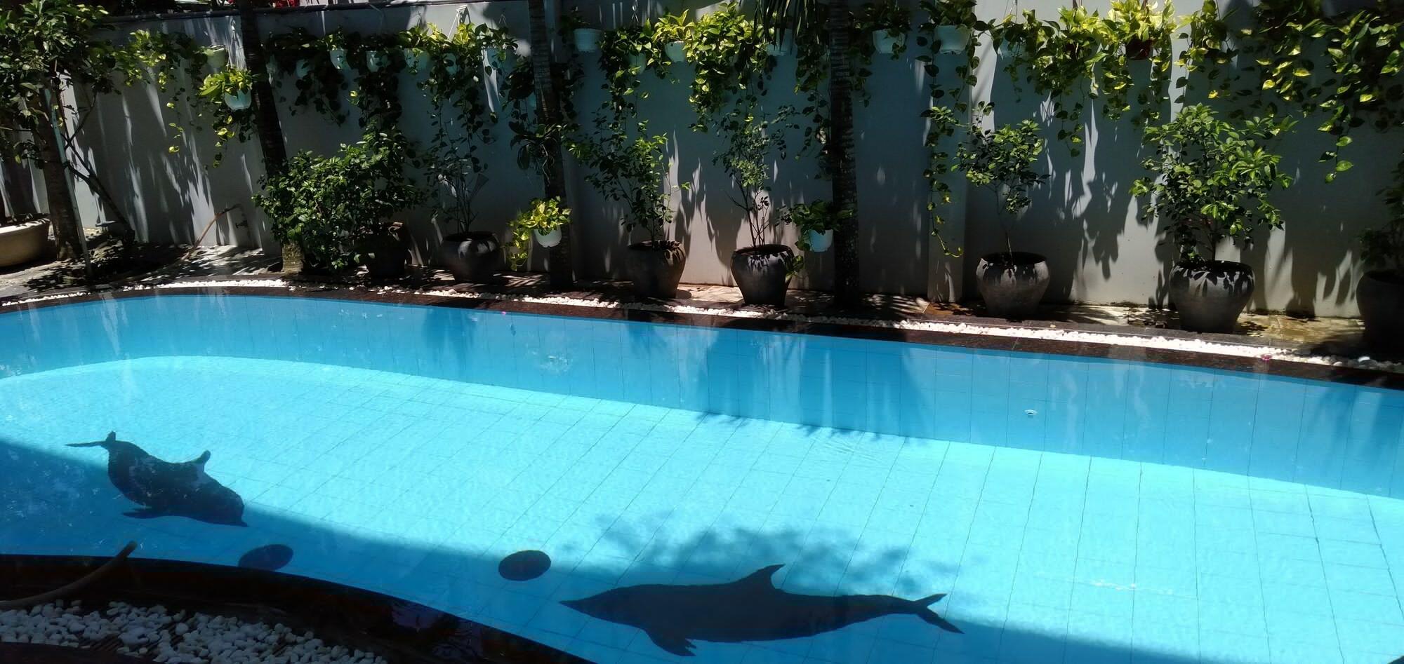 The Moon Villa Hoi An Zewnętrze zdjęcie
